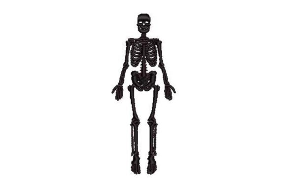 Vintage Anatomical Skeleton: Creative Design Ideas